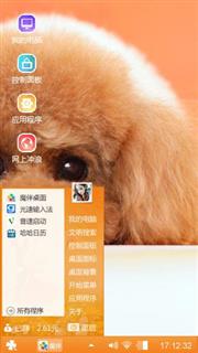 泰迪犬