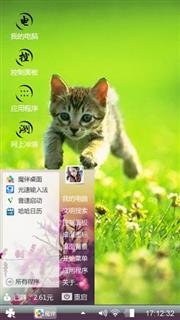 跳跃的猫咪
