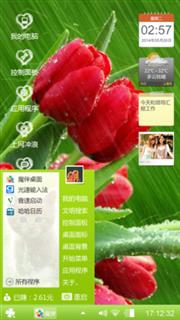 玫瑰