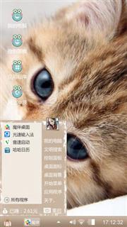 猫猫