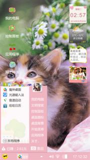 可爱的小猫