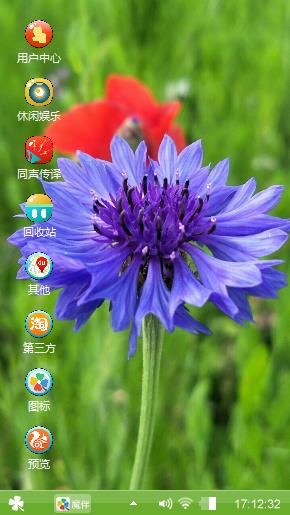 矢车菊