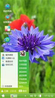 矢车菊