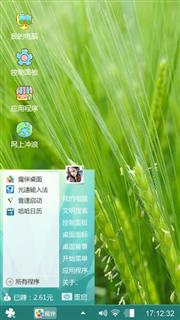 记忆中的麦花儿