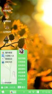 野菊花