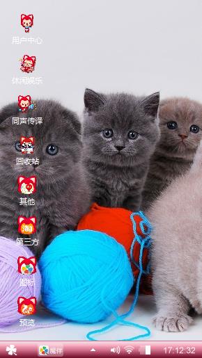 萌萌猫