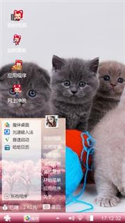 萌萌猫