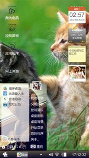 猫咪