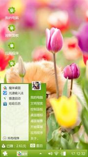动物