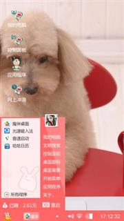 泰迪