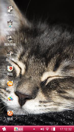 大脸猫