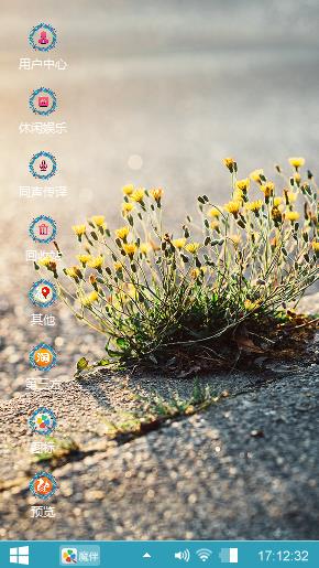 路边黄花