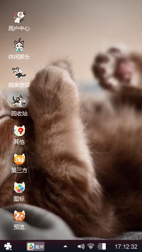 小猫的午觉