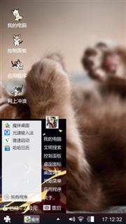 小猫的午觉