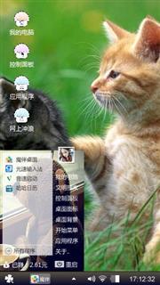 猫咪