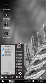 蕨类植物