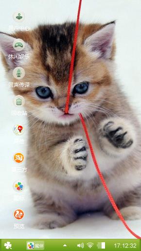 喵咪