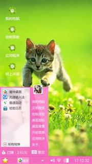 可爱的小猫咪