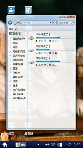 金毛