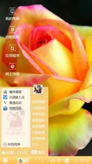 郁金香
