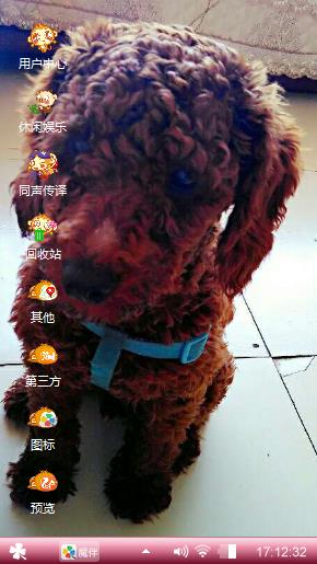 乐乐
