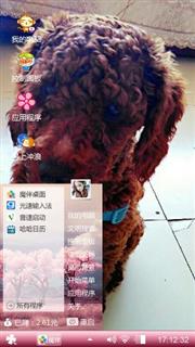 乐乐