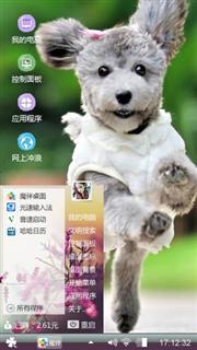 贵宾