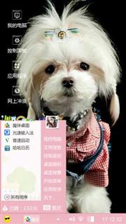 西施犬