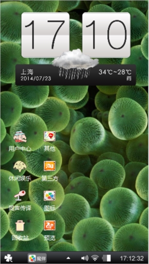 小丑鱼