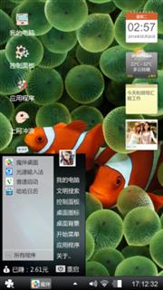 小丑鱼
