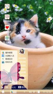 小花猫
