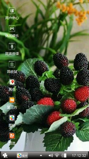 桑葚