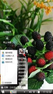 桑葚