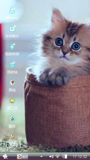 猫猫