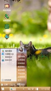 猫咪