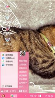 做白日梦的猫咪