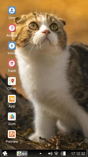 Cat lover