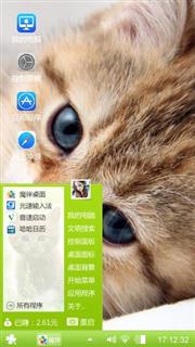 我思念的猫咪