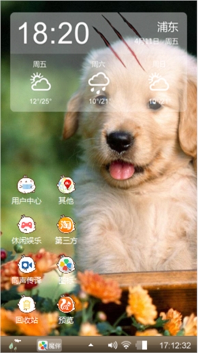 金毛犬