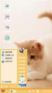 可爱猫