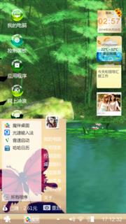龙鹰