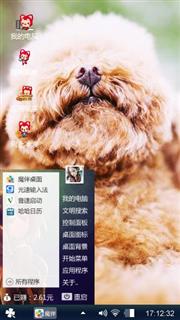 泰迪