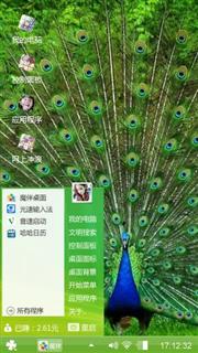 孔雀开屏