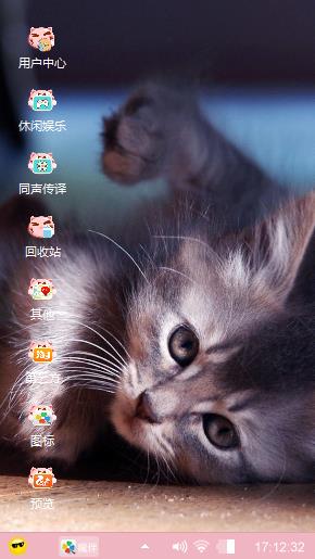 可爱猫咪