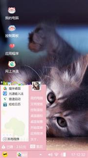 可爱猫咪