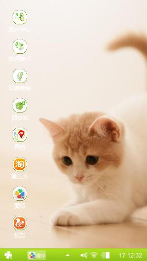 猫咪