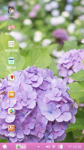 兰花