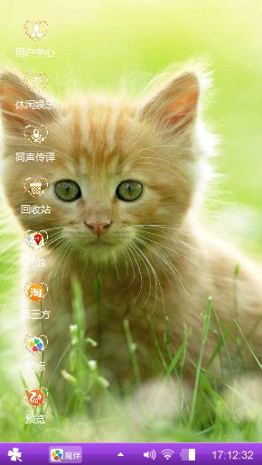 呆萌小奶猫