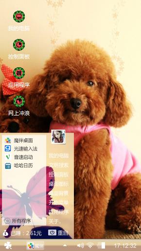 泰迪