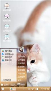 可爱猫咪